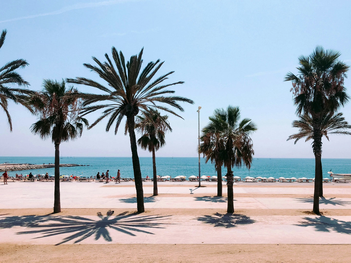 spanje-header-boulevard