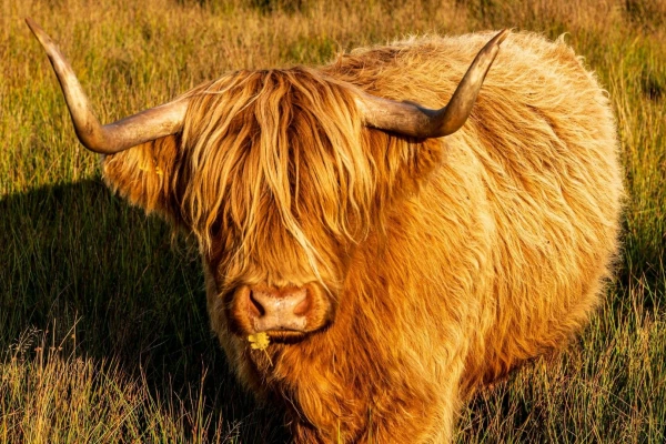 weekendje-weg-in-drenthe