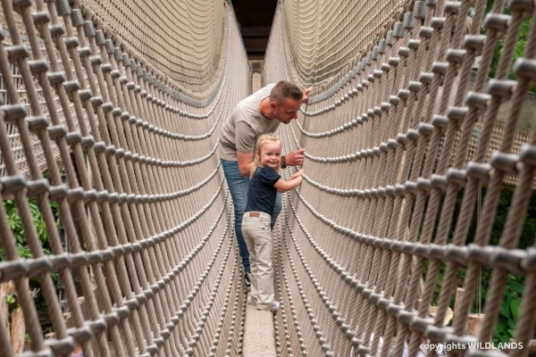 Top 5 uitjes in Drenthe