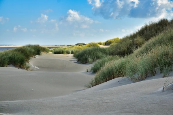 nederland-duinen-strand-blauwe-lucht